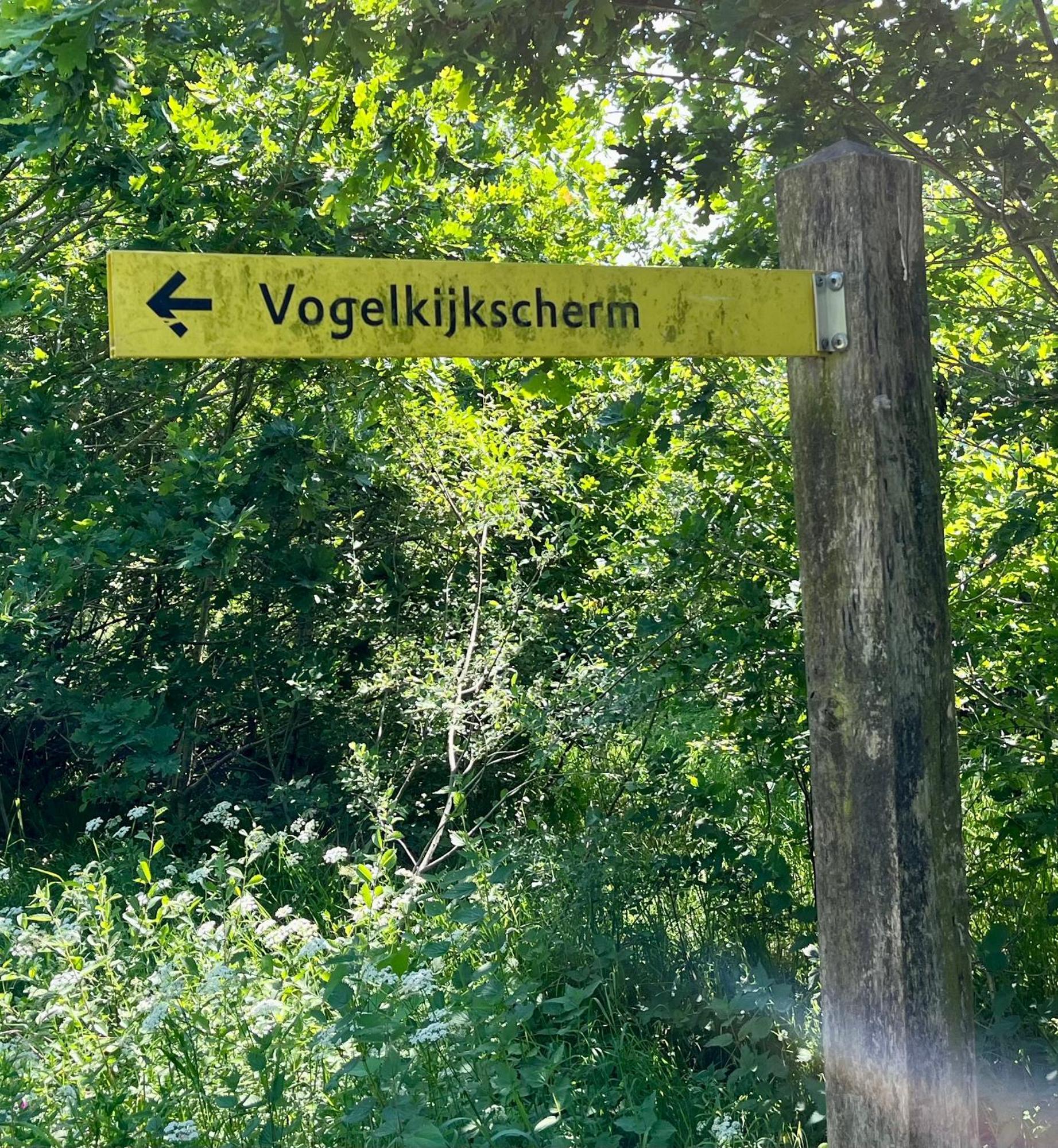 Landzicht Natuur Rust En Ruimte Oosterwolde  Exterior photo